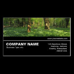 Halfway V3 038 - Spring in the Woods business cards