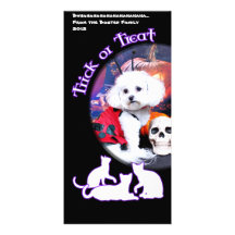 Halloween - Bichon Frise - Mia Custom Photo Card
