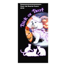 Halloween - Bichon Frise - Mia Photo Cards