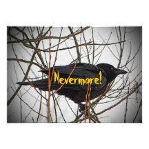 Halloween Black Crow Invitation