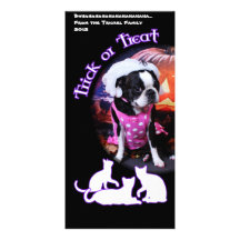 Halloween - Boston Terrier - Georgia Personalised Photo Card