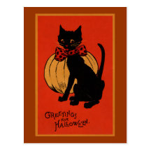 Halloween Cat and Pumpkin Postcard