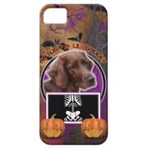 Halloween - Just a Lil Spooky - Irish Setter