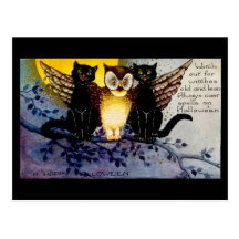 Halloween Owl and Black Cats Post Card