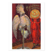 Halloween Parrot and Pumpkin Post Cards