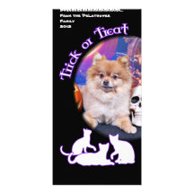 Halloween - Pomeranian - Simba Photo Card Template