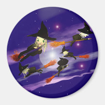 Halloween Witch Traffic Magnets