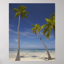 Hammock and palm trees, Plantation Island Resort Posters