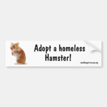Hamster Bumpersticker Bumper Stickers
