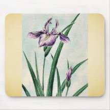 Hana-strobel acornus calamus by Megata Morikaga Mouse Pads