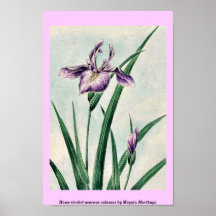 Hana-strobel acornus calamus by Megata Morikaga Print