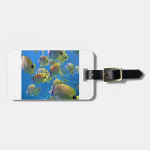 Hanauma Bay - Millet Seed Butterfly Fish Tags For Luggage