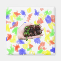 Hand and Chocolate Hot Habanero Peppers Refrigerator Magnets