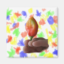 Hand And Hot Habernero Pepper Photograph Magnets