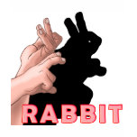 HAND SHADOW RABBIT SHIRTS
