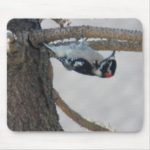 Hangin Out by Leslie Peppers Mousemats
