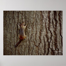 Hanging On Print