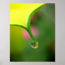 Hanging On Print