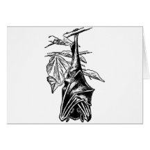 Hanging Sleeping Bat - Black Version Card