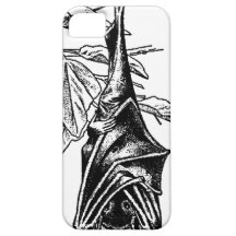 Hanging Sleeping Bat - Black Version iPhone 5 Case