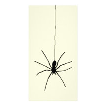 Hanging Spider Picture Card