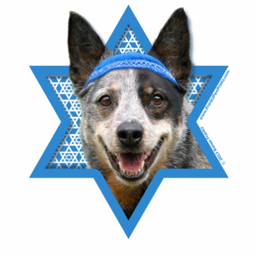  - hanukkah_star_of_david_cattle_dog_photo_cut_outs-ra0ab23addd2344cc93e759b211a03b5a_x7saw_8byvr_512