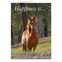 Happiness is spending time with your horse greeting cards