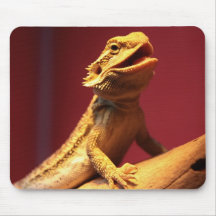 Happy Bearded Dragon Mousepad