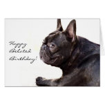 Happy Belated Birthday French Bulldog card