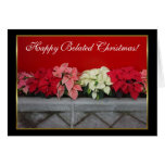 Happy Belated Christmas Poinsettia greeting card