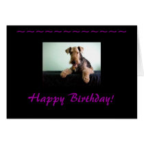 Happy Birthday Airedale Terrier cards