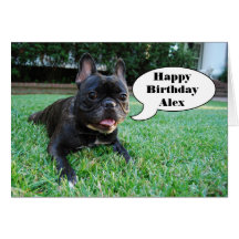 Happy Birthday Alex French Bulldog Card