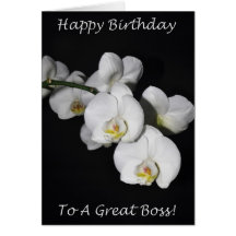 Happy Birthday Boss White Orchid Greeting Cards