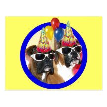Happy Birthday Boxers postcard