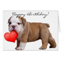 Happy Birthday  Bulldog puppy greeting card