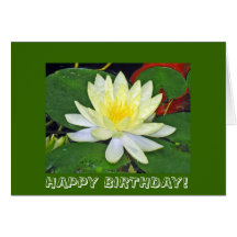 HAPPY BIRTHDAY! CARDS