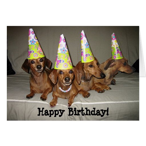 Happy Birthday Dachshund Greeting Card 