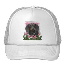 Happy Birthday - Dachshund - Winston Mesh Hats