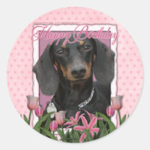 Happy Birthday - Dachshund - Winston Stickers