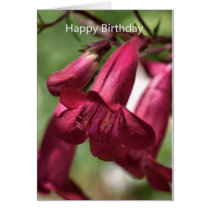 Happy Birthday - Flowers cards