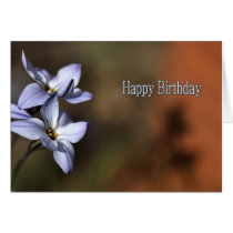 Happy Birthday -  Flowers in bloom cards