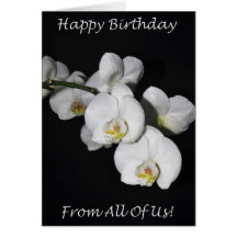 Happy Birthday From All Of Us White Orchid Cards