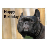 Happy Birthday Fun - Paris Merille Cards