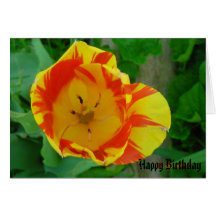 Happy Birthday Greeting Card