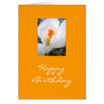 Happy Birthday Greeting Cards