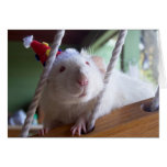 Happy Birthday Greeting Cards