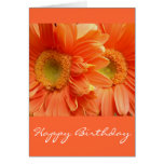 Happy Birthday Greeting Cards