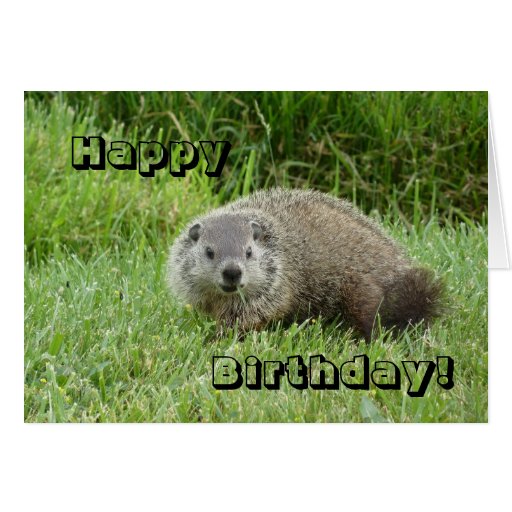 Happy Birthday groundhog Greeting Card | Zazzle