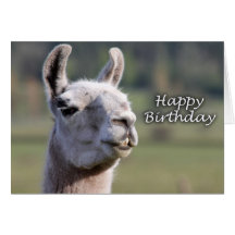 Happy Birthday llama | llama happy birthday Greeting Cards