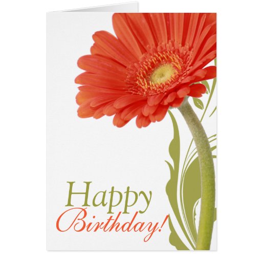 Happy Birthday | Orange Gerbera Daisy Greeting Cards